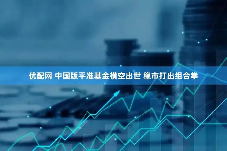 优配网 中国版平准基金横空出世 稳市打出组合拳